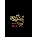 Brooches